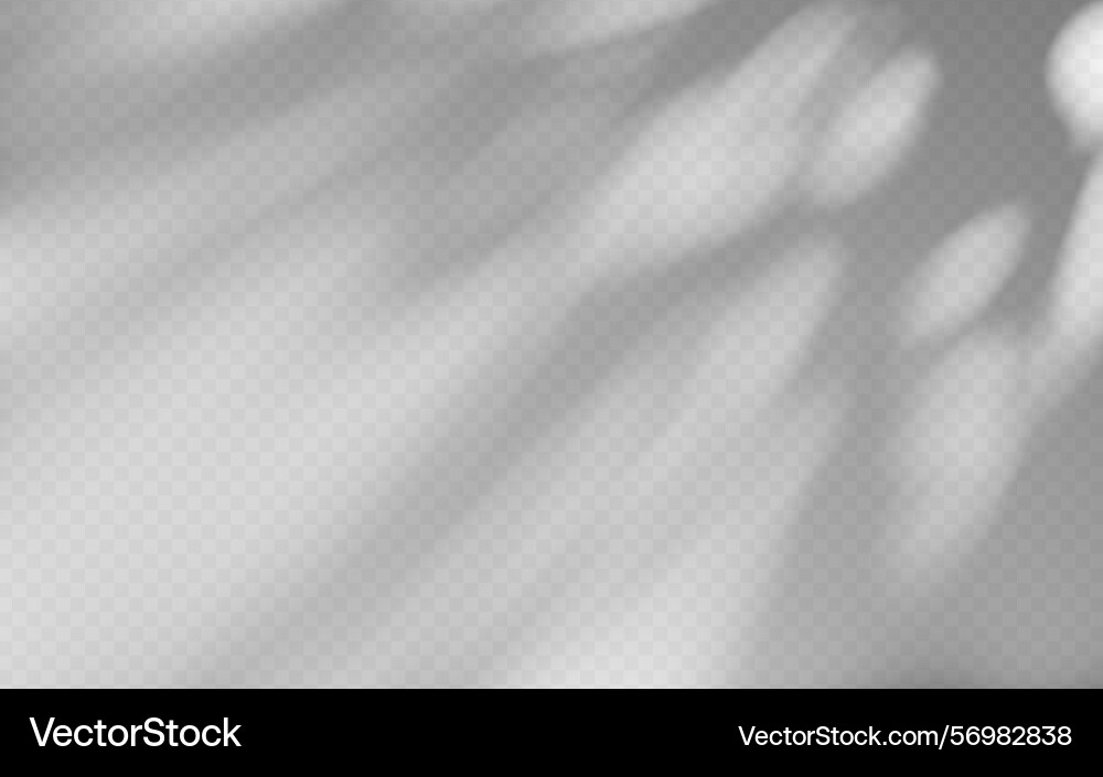 Abstract shadow overlay from tree branch Abstract shadow overlay from tree branch Vector Image
