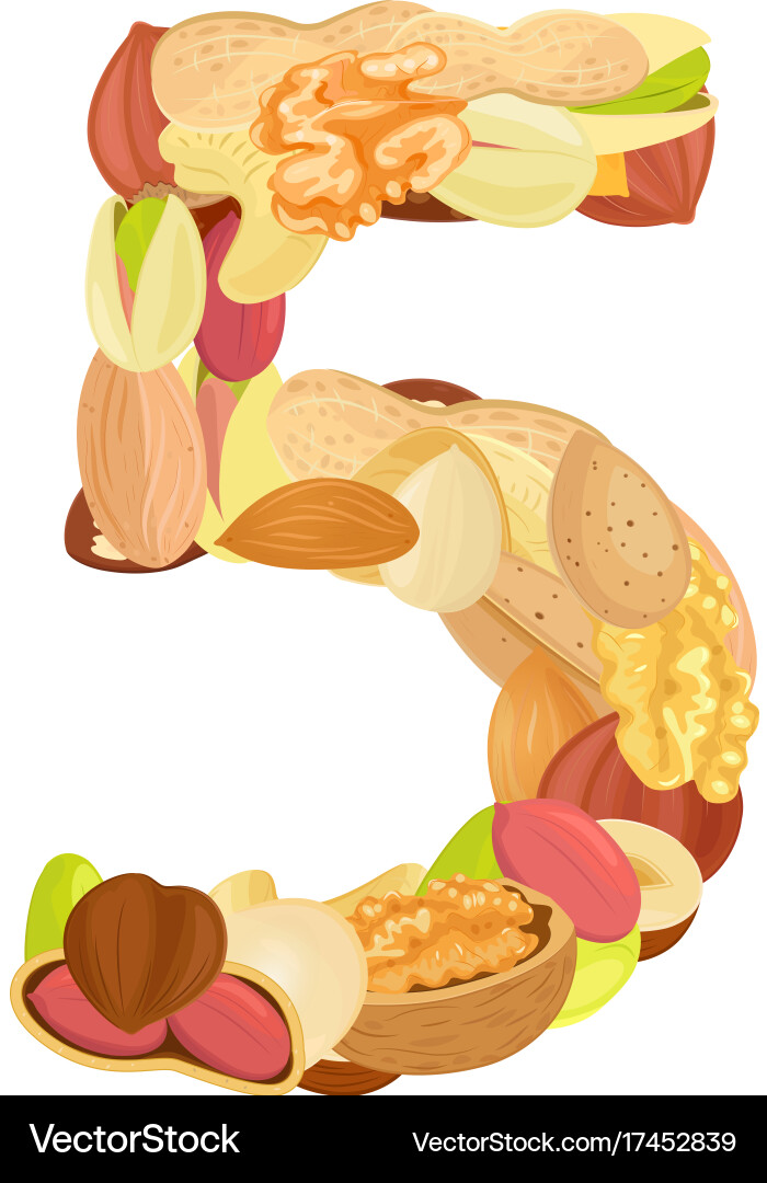 Delicious number made from different nuts five Vector Image