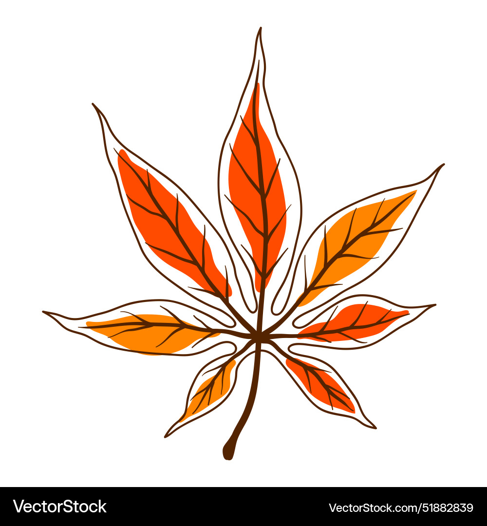 Maple leaf decorative autumn Royalty Free Vector Image