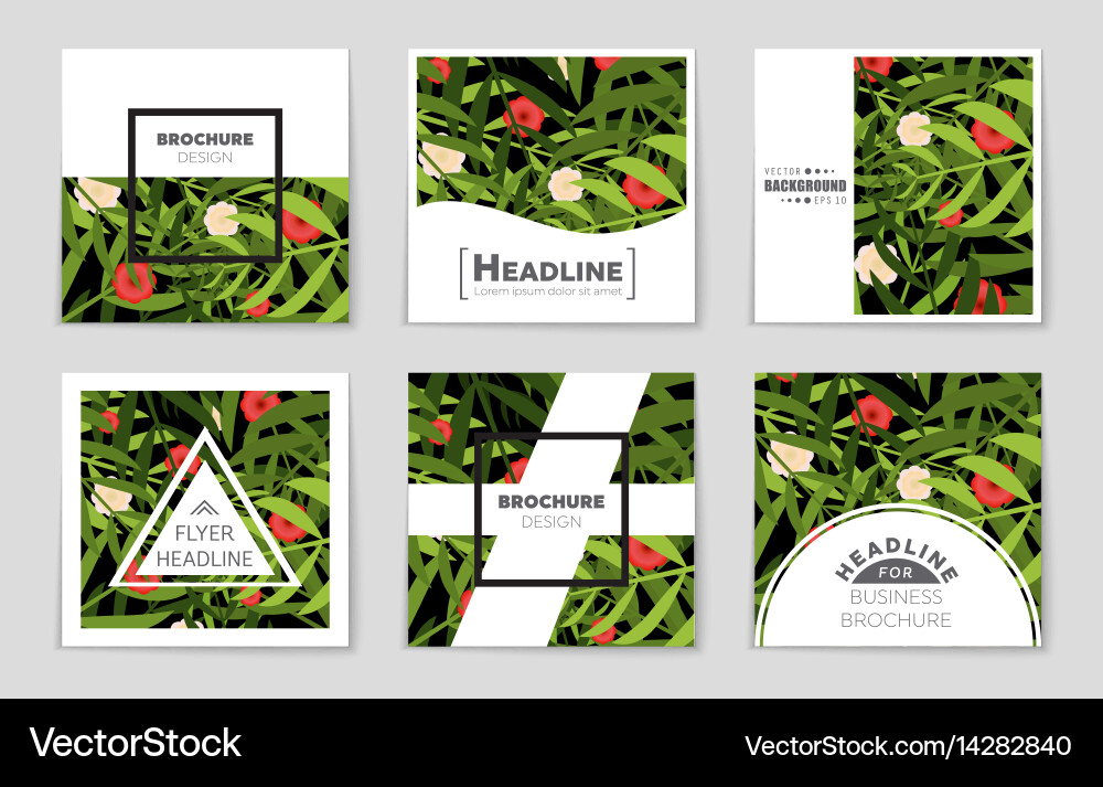 Abstract layout background set for art Vector Image