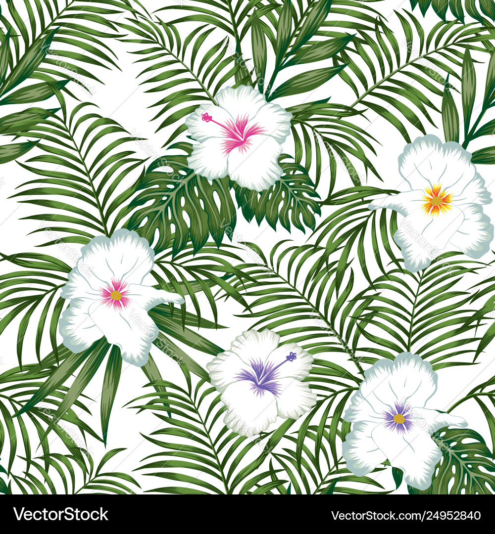 Exotic white flowers hibiscus and green leaves Exotic white flowers hibiscus and green leaves vector image