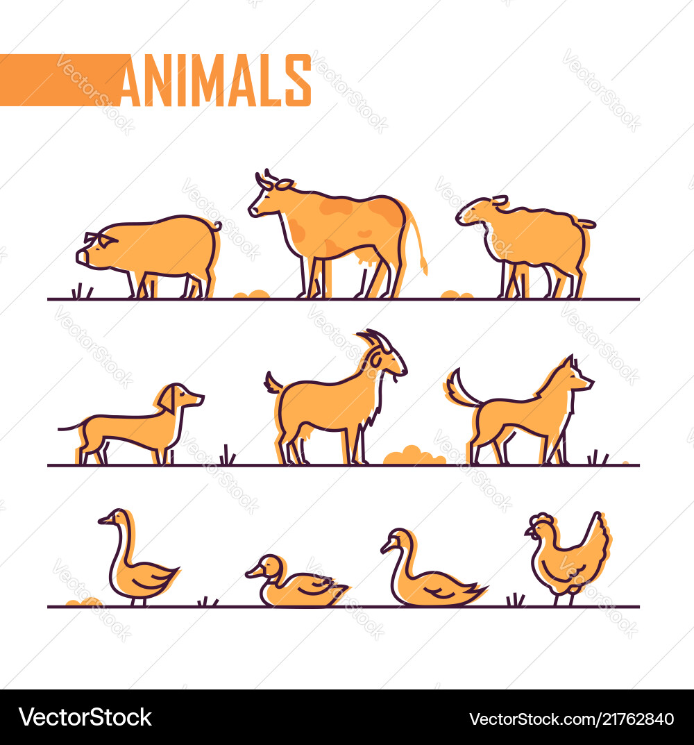 Set of farm animals - line design style colorful vector image