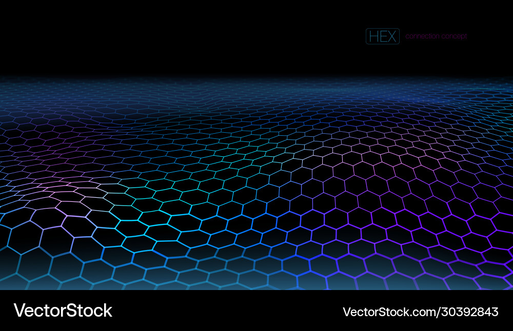 Futuristic Hexagon Network vector image
