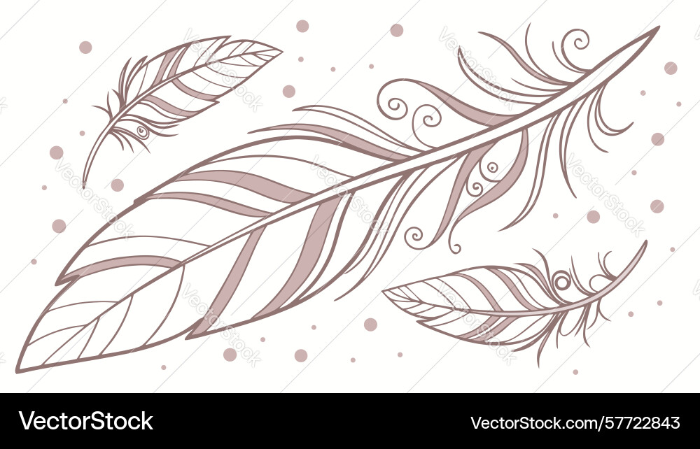 Overlapping pink and grey feathers design element Vector Image