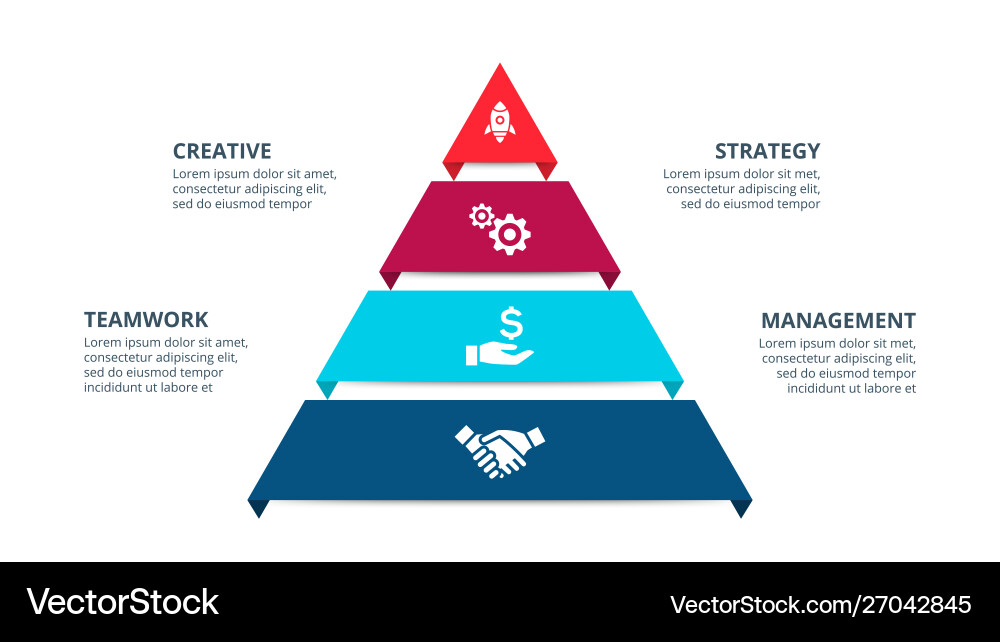 Data Visualization Process Chart vector image