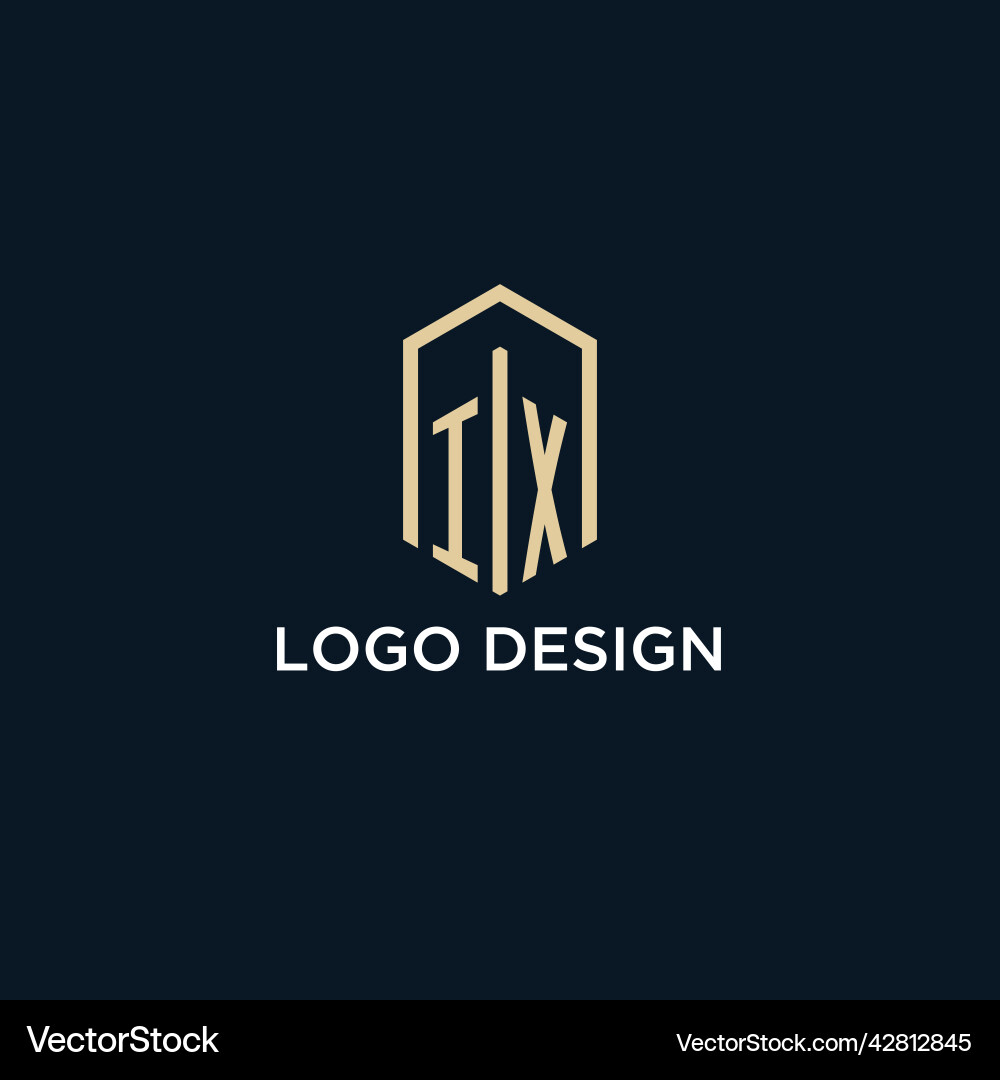 Ix initial monogram logo with hexagonal shape Vector Image