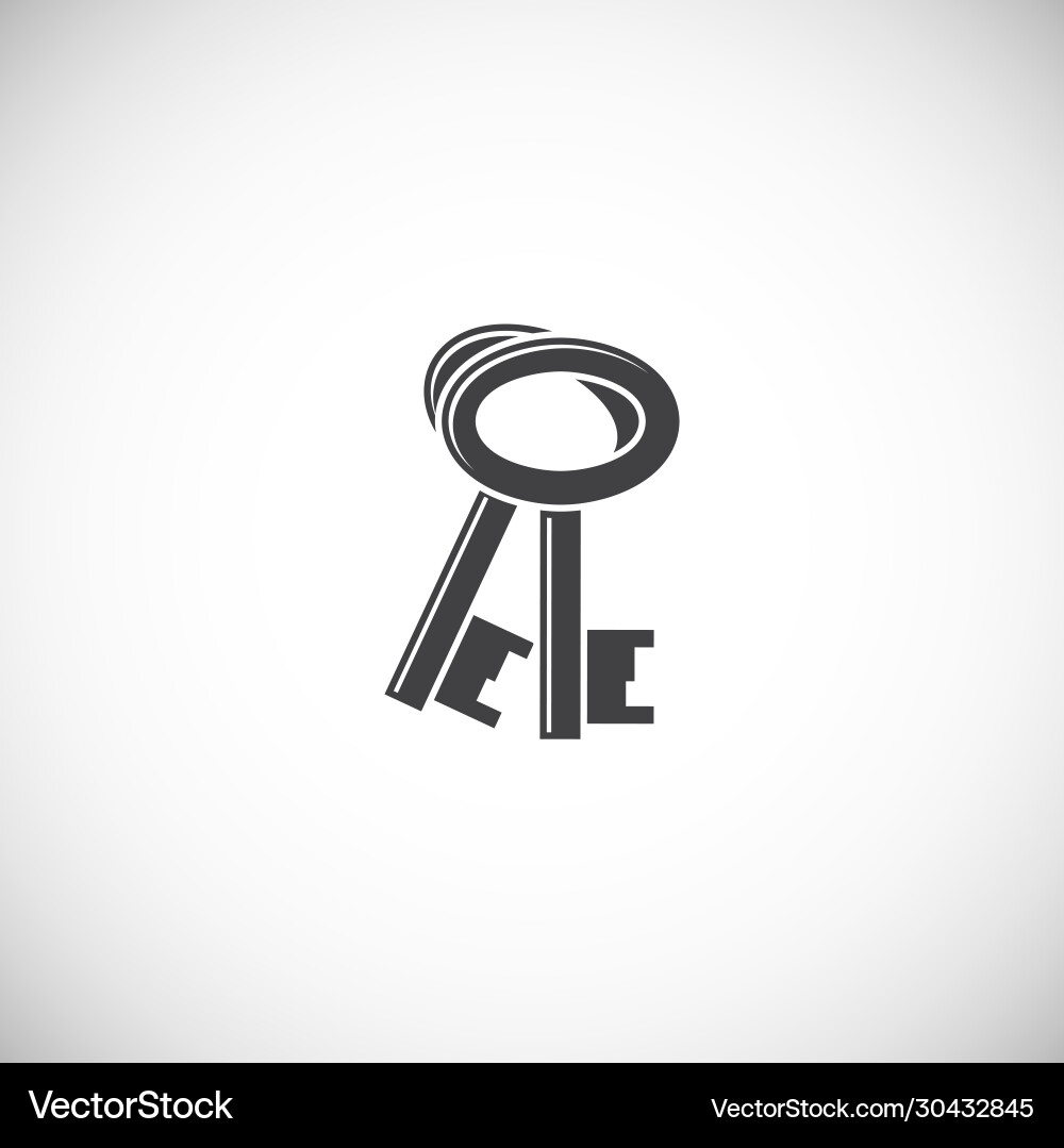 Key icon on background for graphic and web design Vector Image