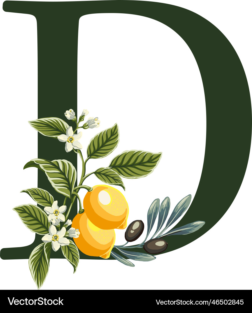 Letter d from alphabet with lemons and olive Letter d from alphabet with lemons and olive vector image
