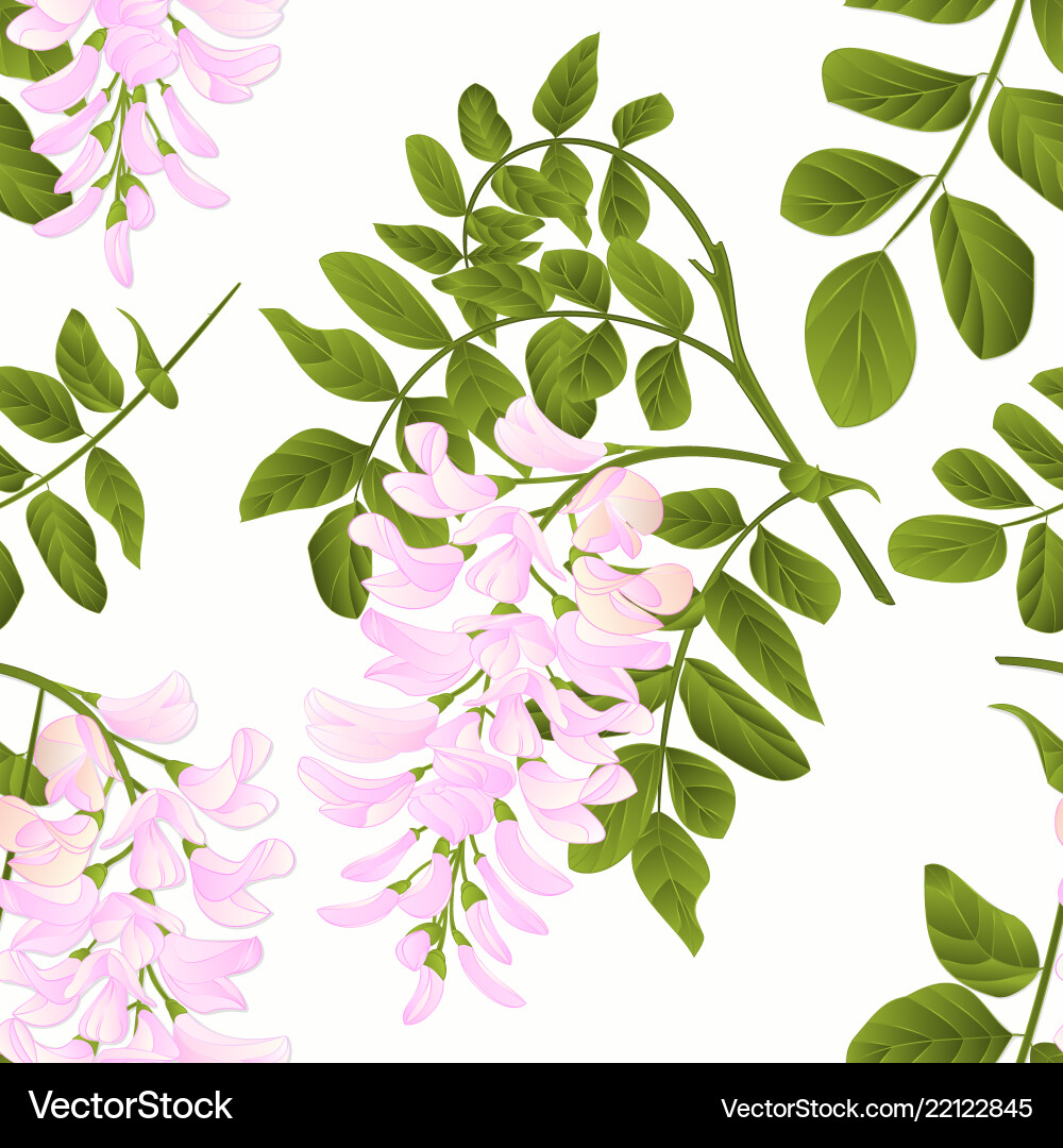 Seamless texture locust tree twig with leaves Seamless texture locust tree twig with leaves vector image