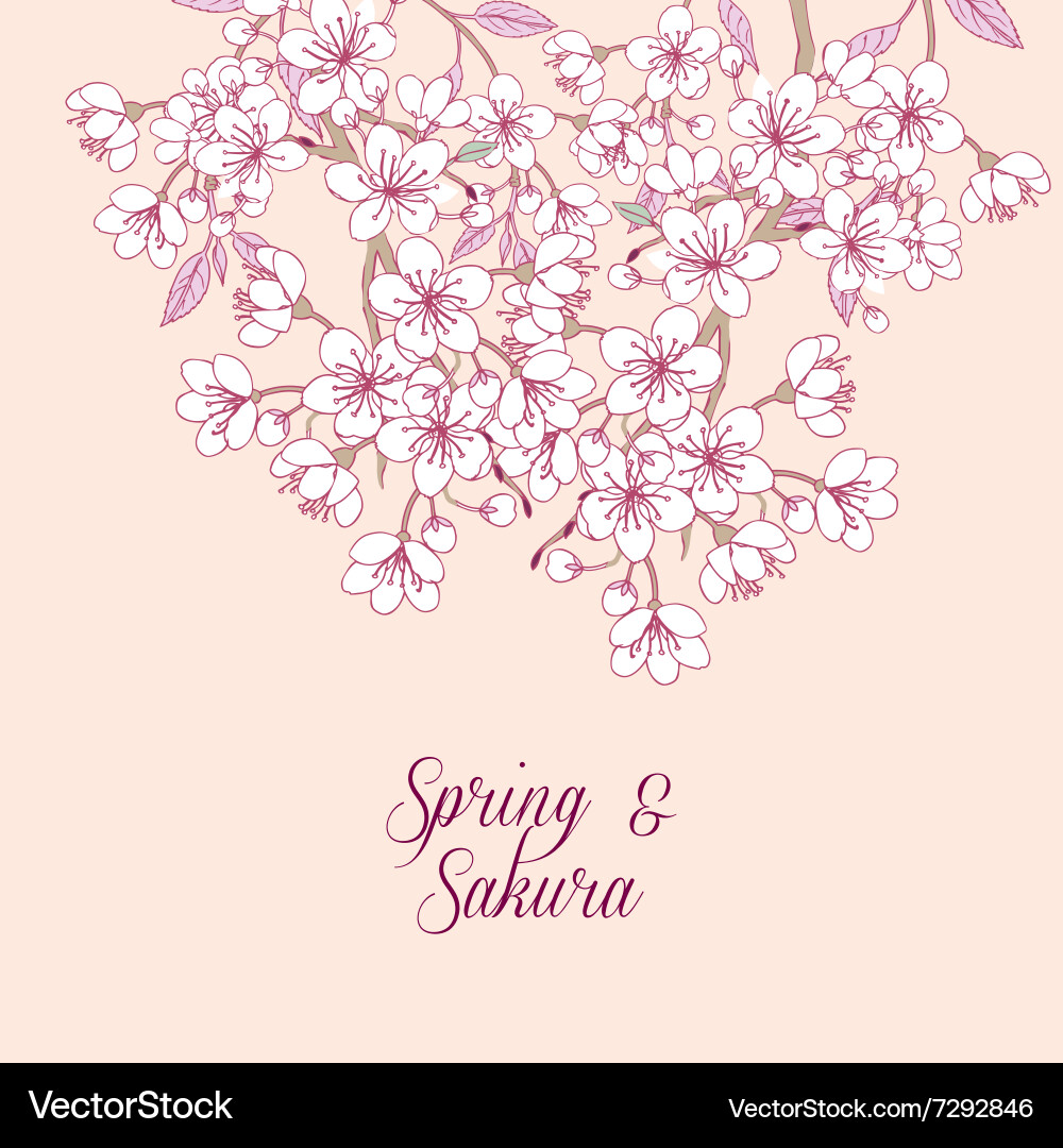 Background with sakura vector image