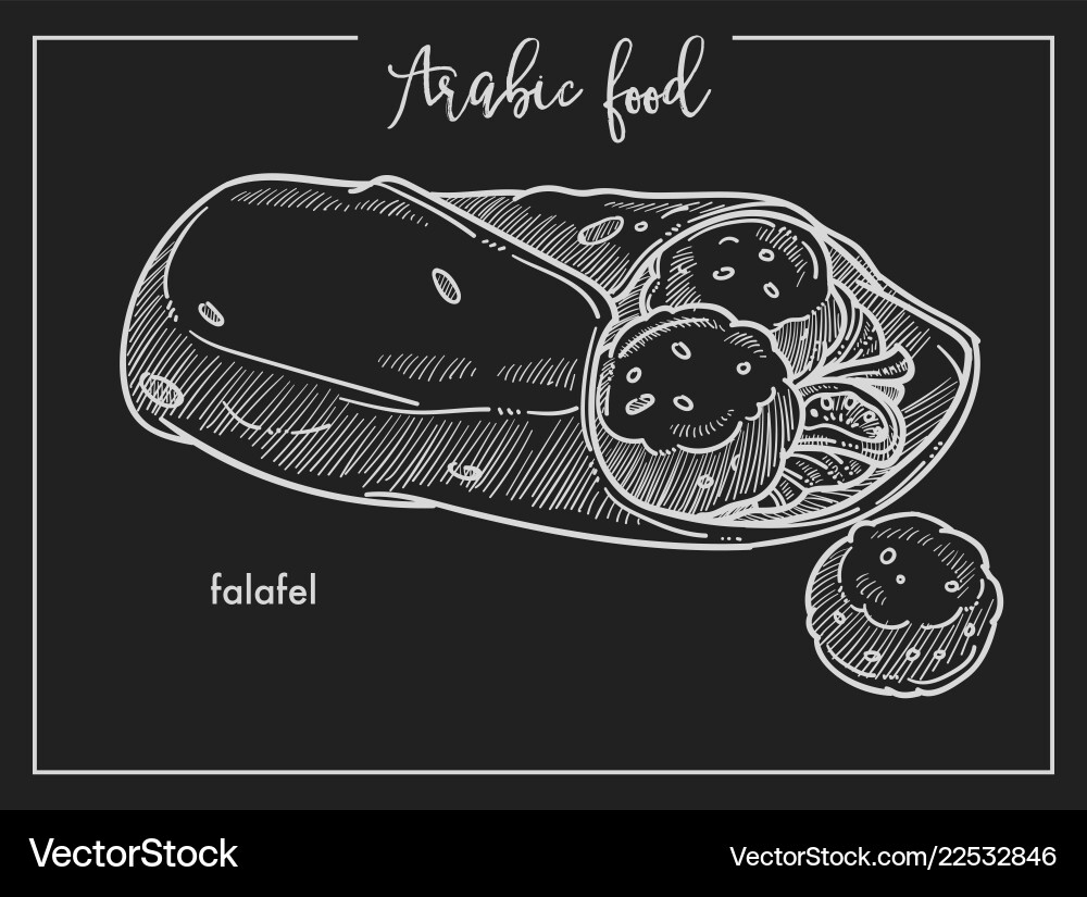 Falafel mit Pita Brot aus dem traditionellen arabischen Falafel mit Pita Brot aus dem traditionellen arabischen vektorbild