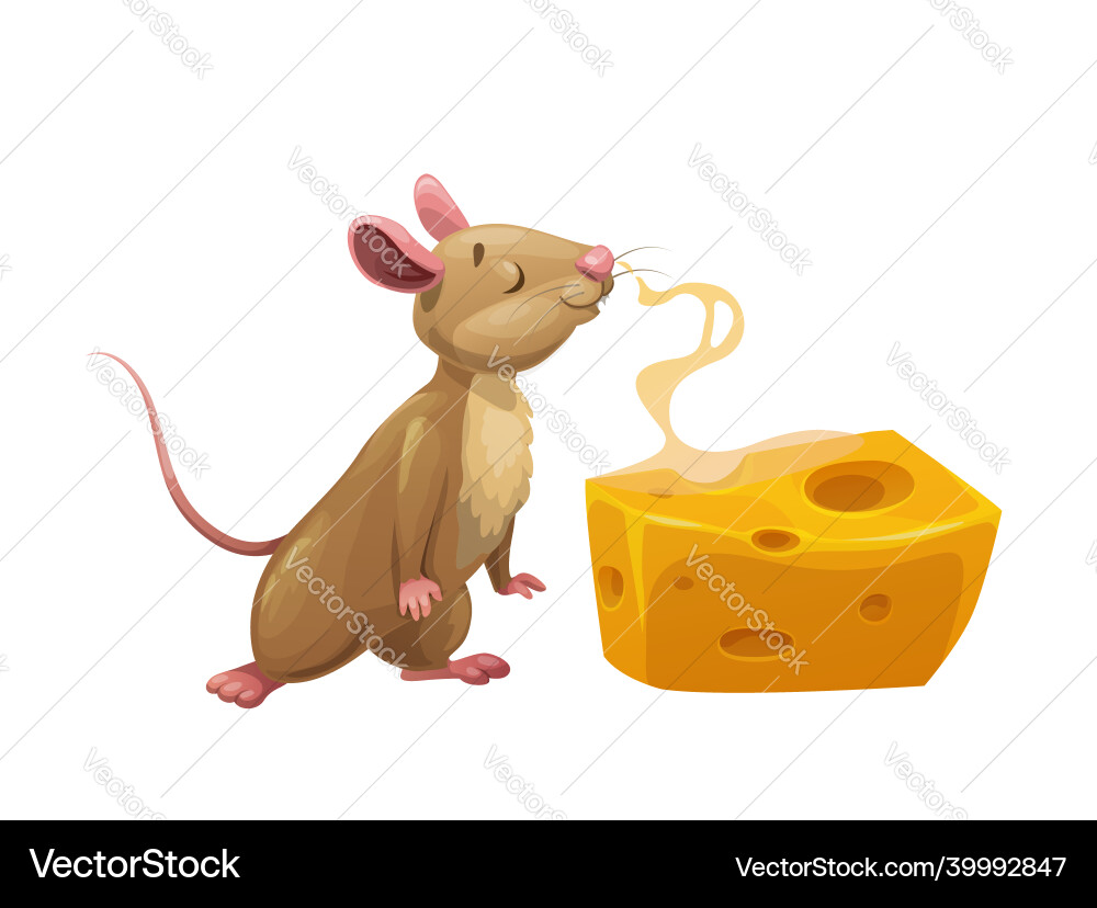 Cartoon mouse and steaming cheese cute rat vector image