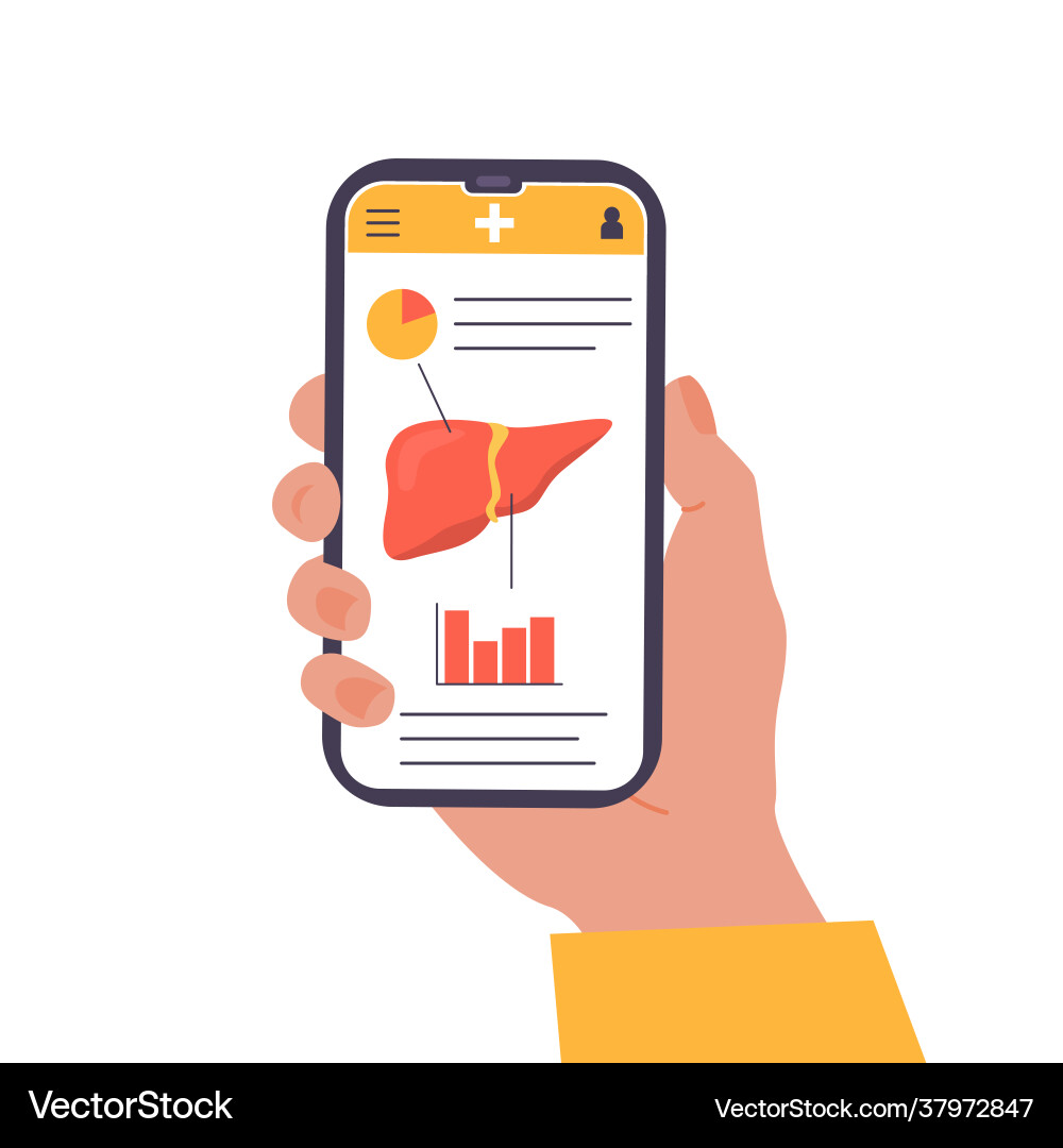 Concept mobile app on screen explaining liver Concept mobile app on screen explaining liver vector image