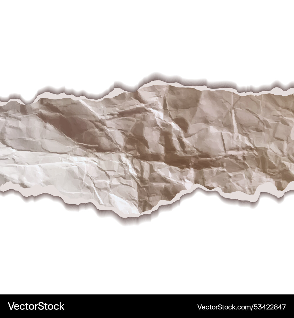Crumpled paper with space for separator page Vector Image
