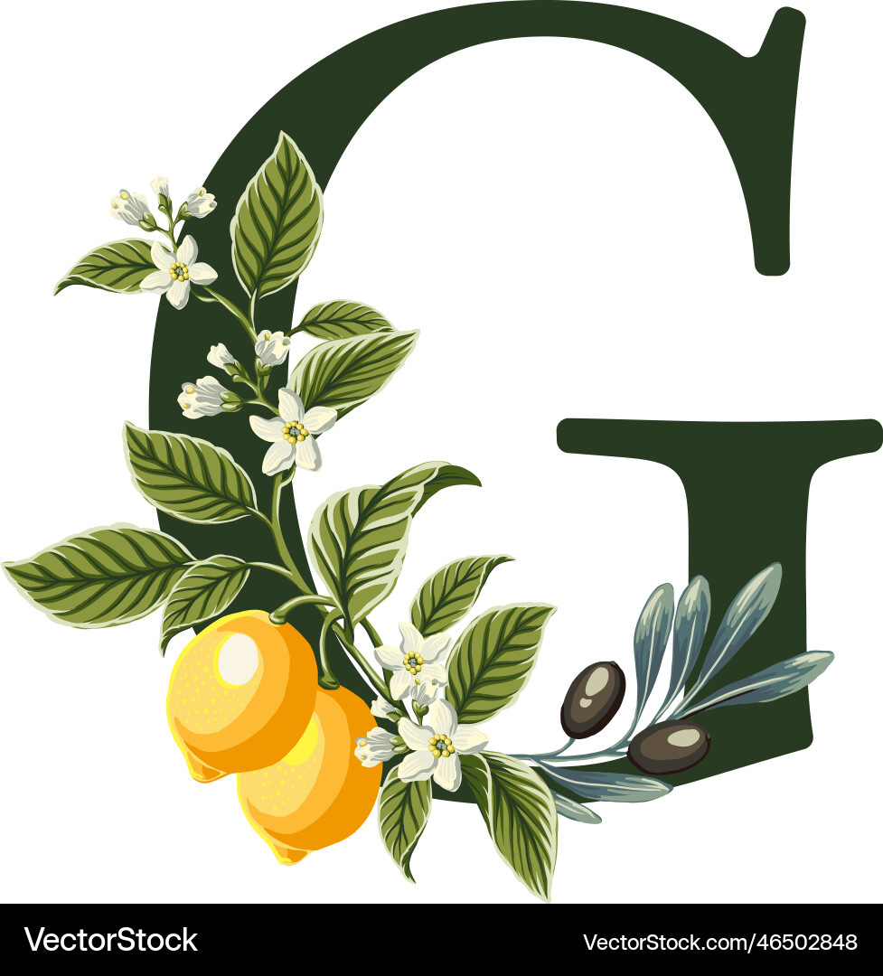 Letter g from alphabet with lemons and olive Letter g from alphabet with lemons and olive vector image
