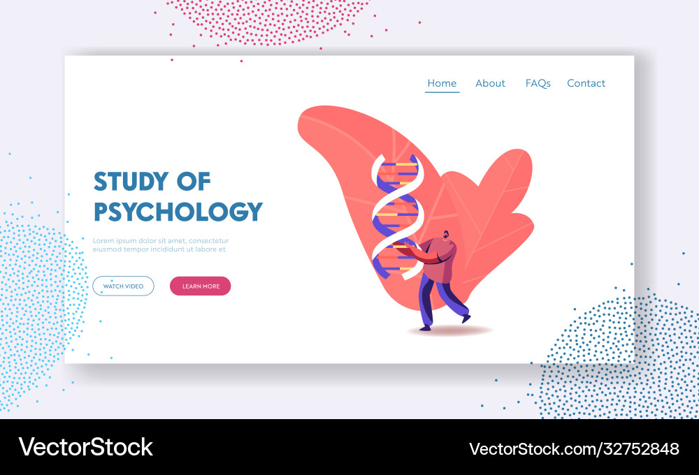 Scientist working on anthropology investigation Scientist working on anthropology investigation vector image