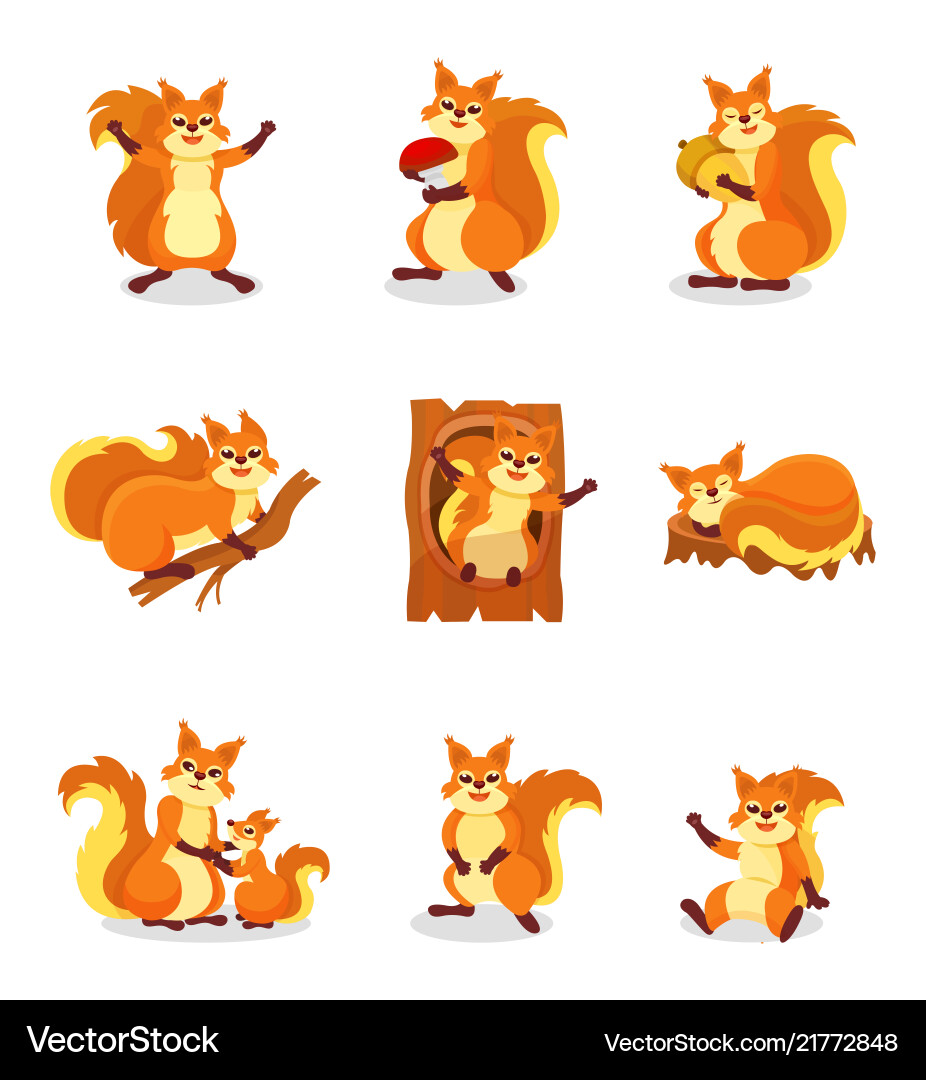 Set of cute red squirrel in different actions Set of cute red squirrel in different actions vector image
