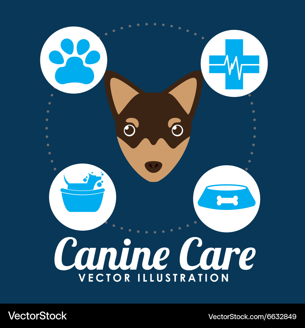 Veterinary centre design Vector Image