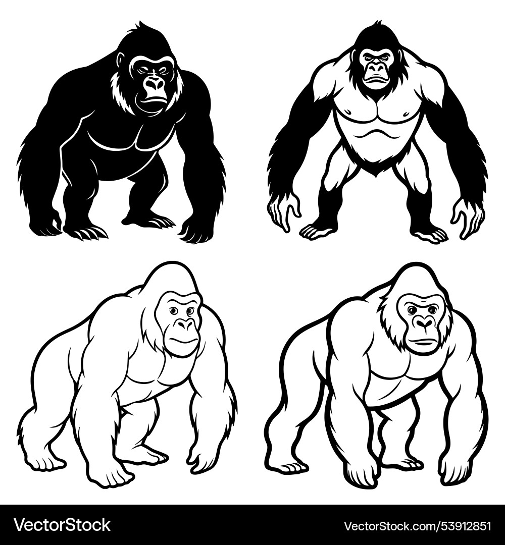3d rendering of dynamic orangutan silhouette line Vector Image