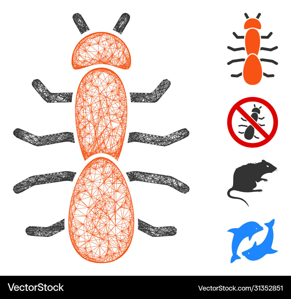 Ant web mesh Ant web mesh vector image