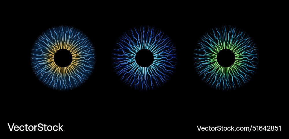 Iris poster Royalty Free Vector Image - VectorStock