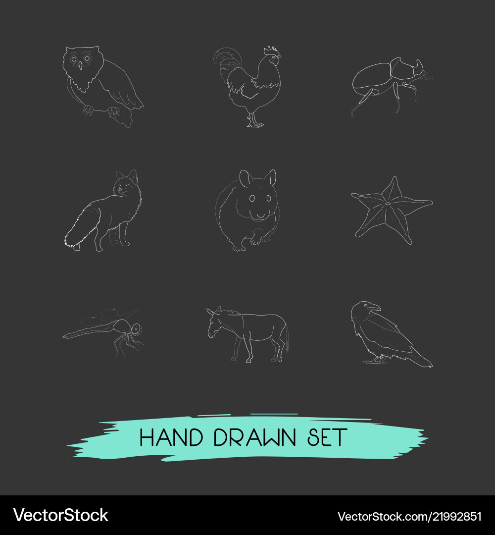 Set of zoo icons line style symbols with beetle Set of zoo icons line style symbols with beetle Vector Image