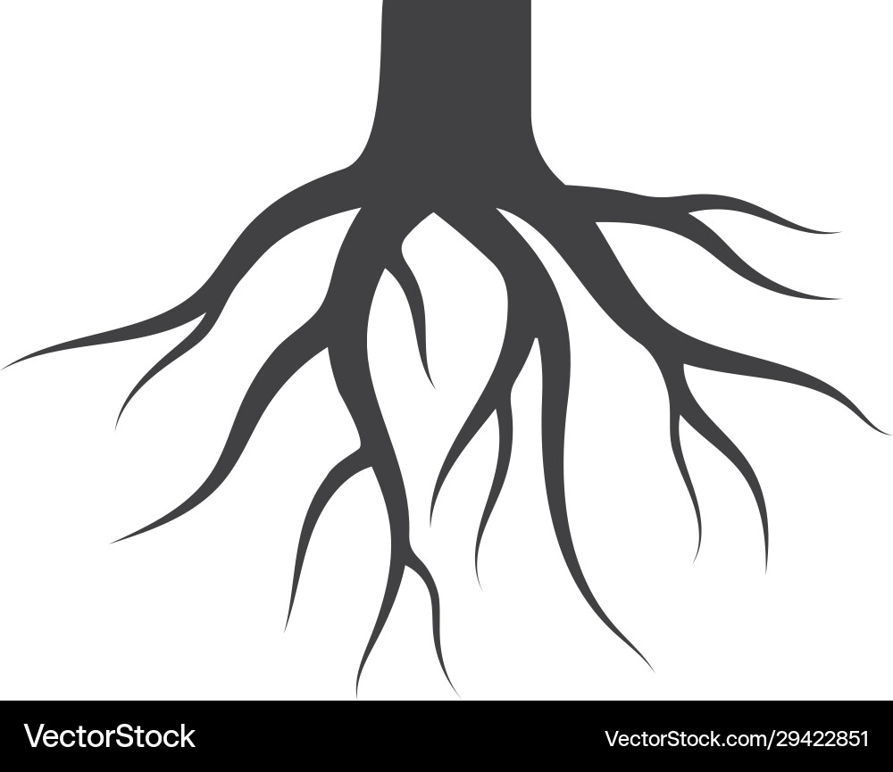 Tree Roots Icon - Botanical Style vector image