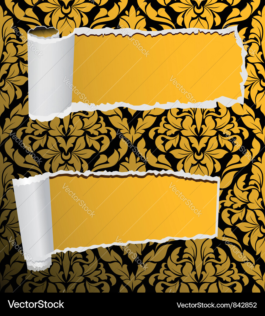 Damask Paper Texture Background Vector Image