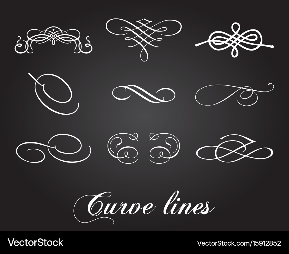Typographic design elements and curve lines Vector Image