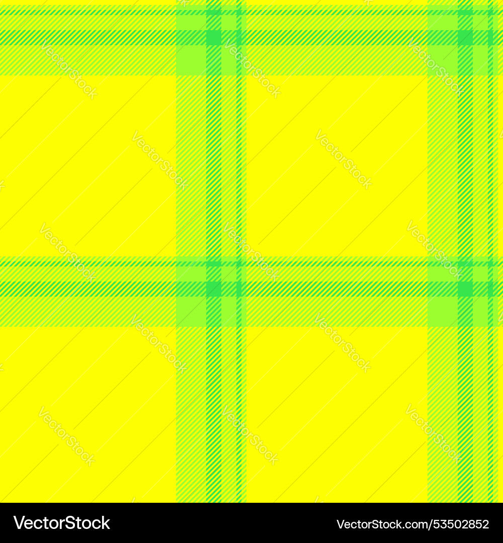 Workshop texture check fabric line pattern Vector Image