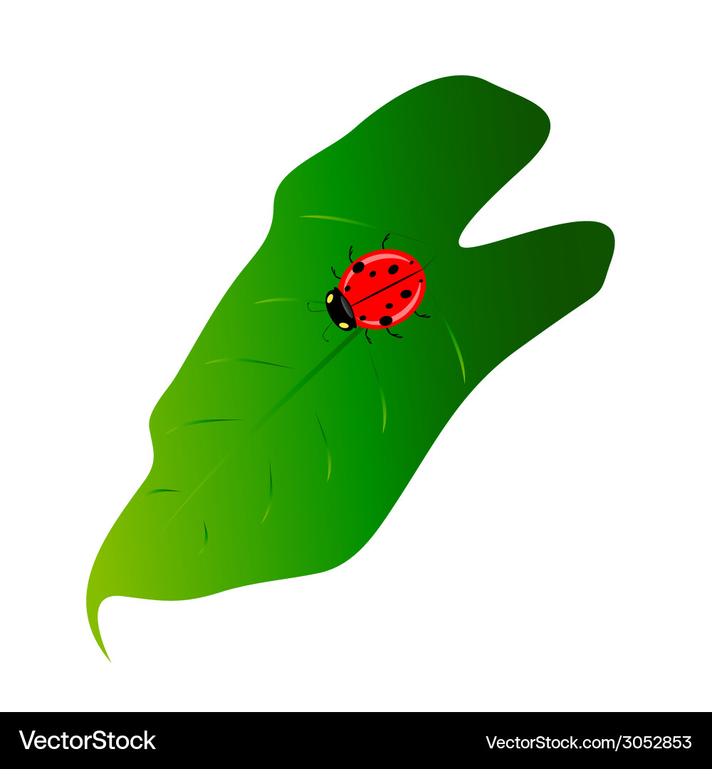 Red ladybug on the list Vector Image