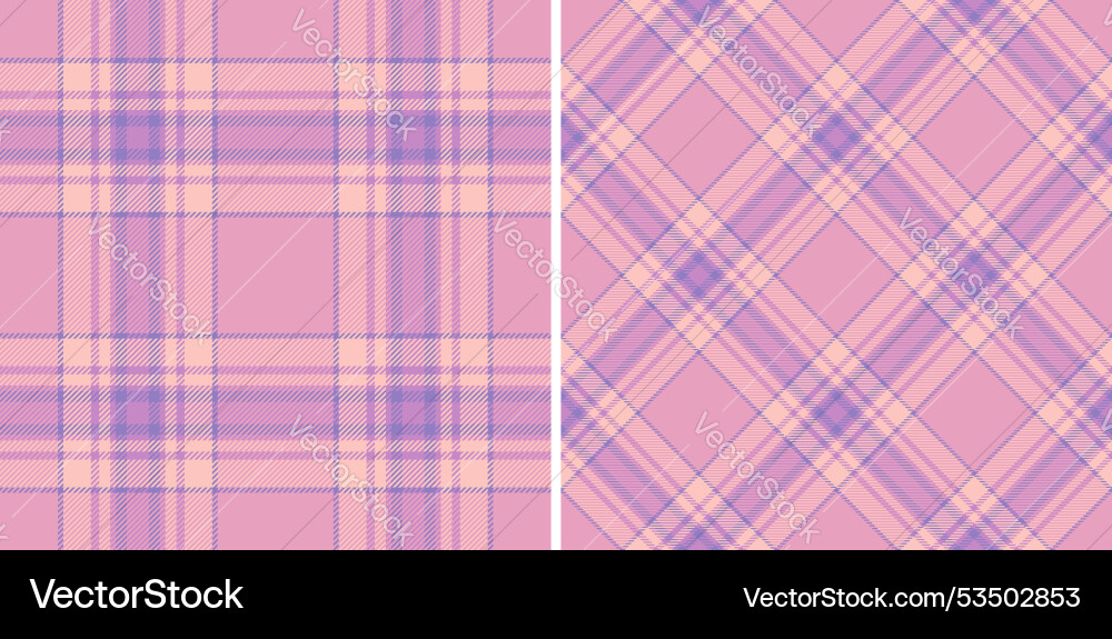 Texture check of seamless pattern background Texture check of seamless pattern background vector image