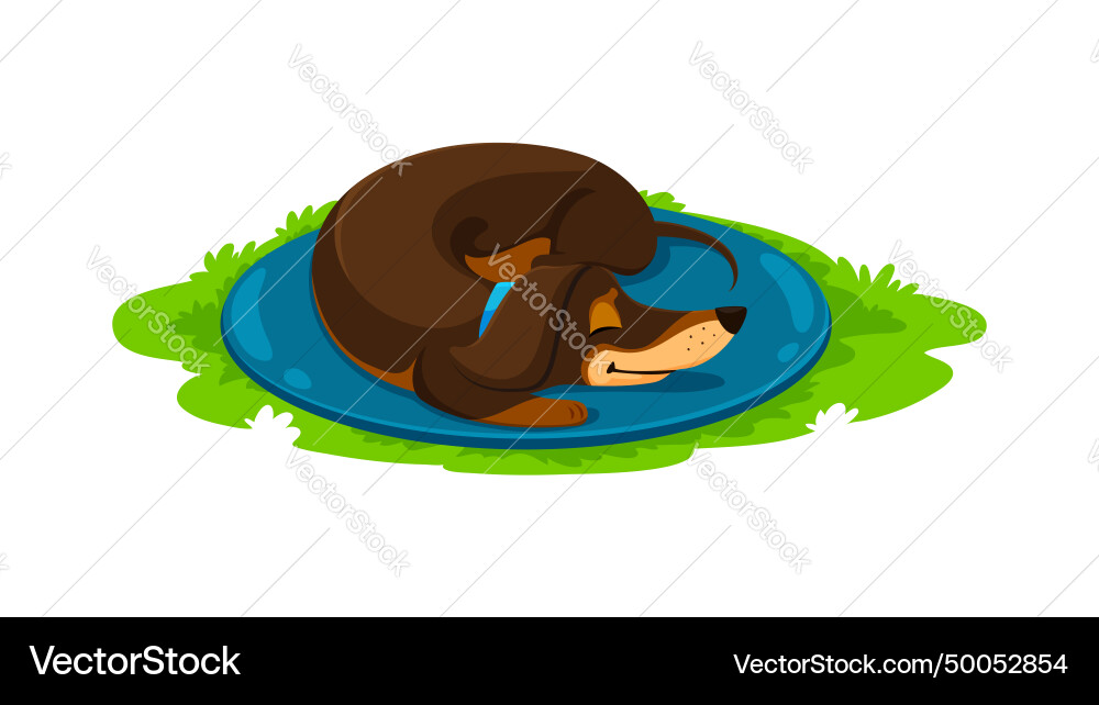 Cartoon dachshund dog puppy slumbers in the grass Cartoon dachshund dog puppy slumbers in the grass vector image