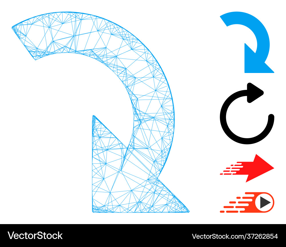 Net rotate right mesh vector image