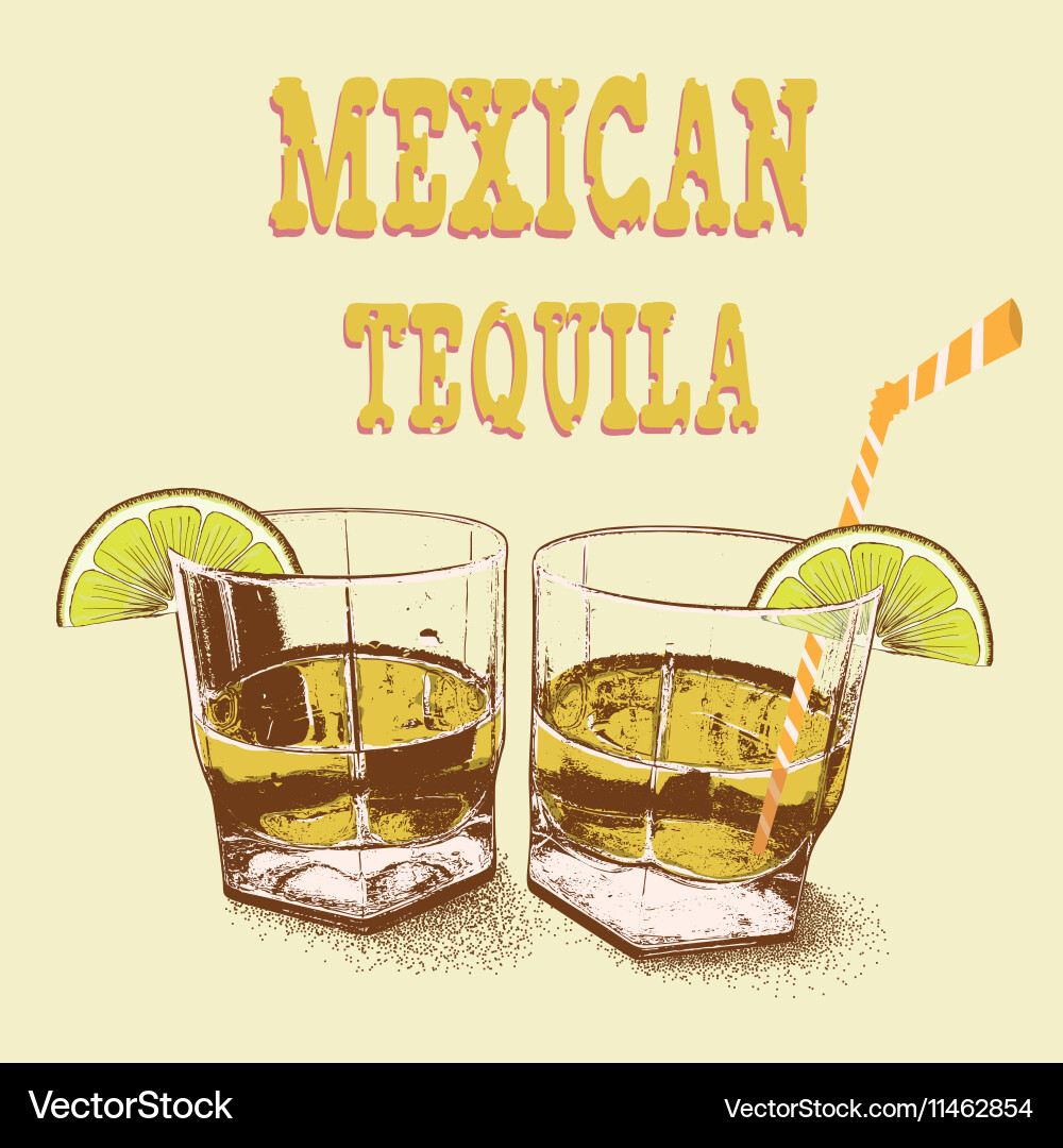 Two stemware of tequila with lime Vector Image