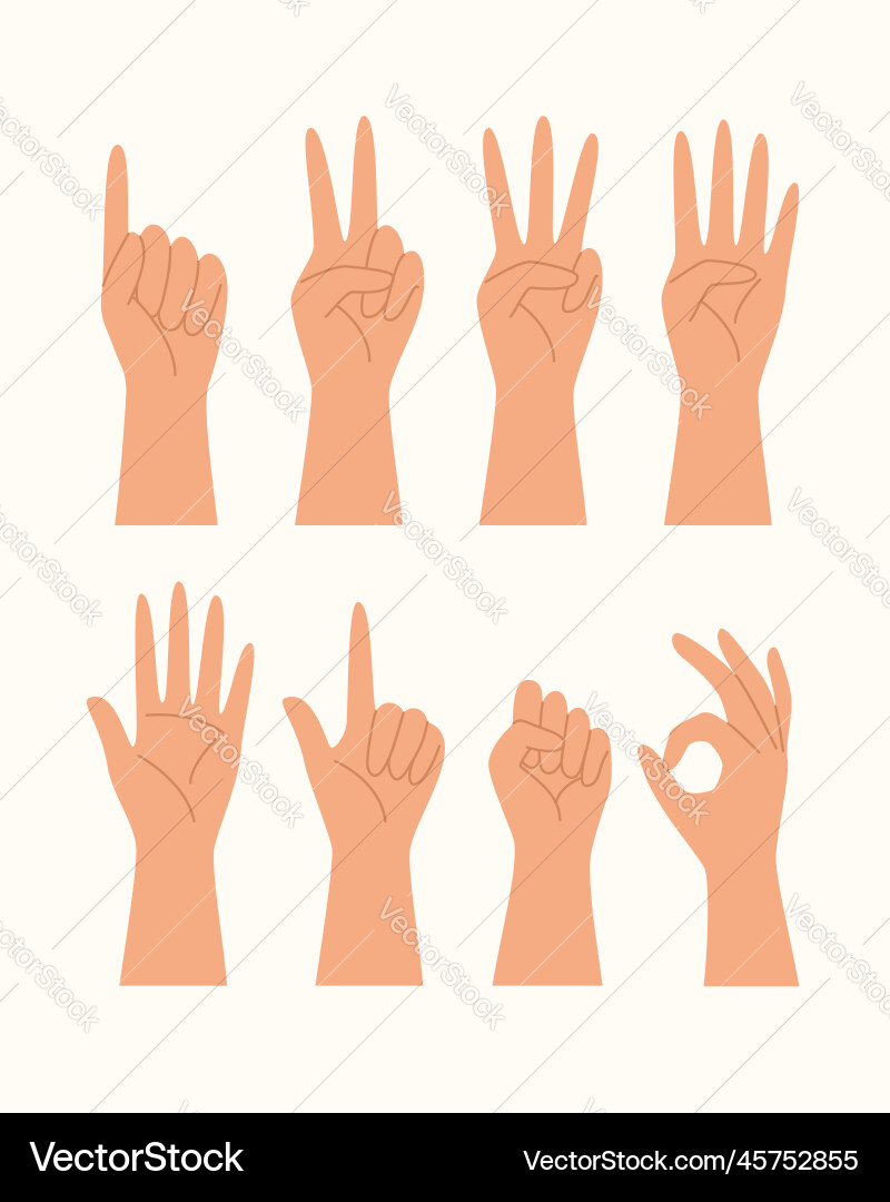 Hands gesture counting concept vector image