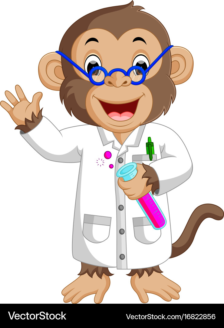Monkey conducting a laboratory experiment Vector Image