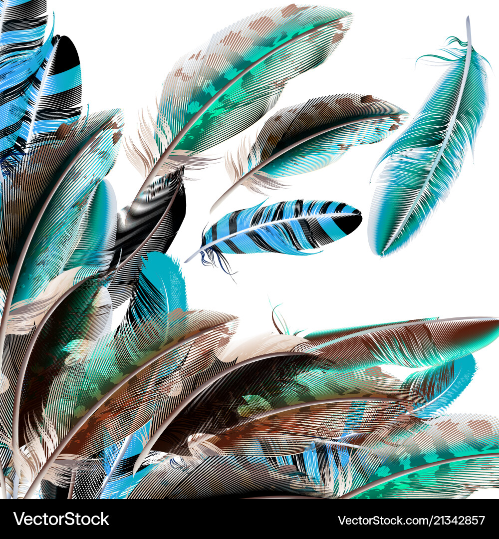 Background with feathers in realistic style Background with feathers in realistic style vector image