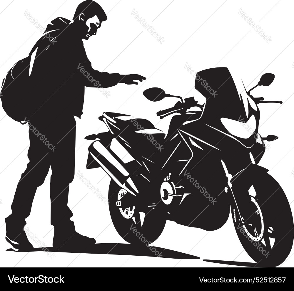 Speed sentinel of the swift asphalt Speed sentinel of the swift asphalt Vector Image