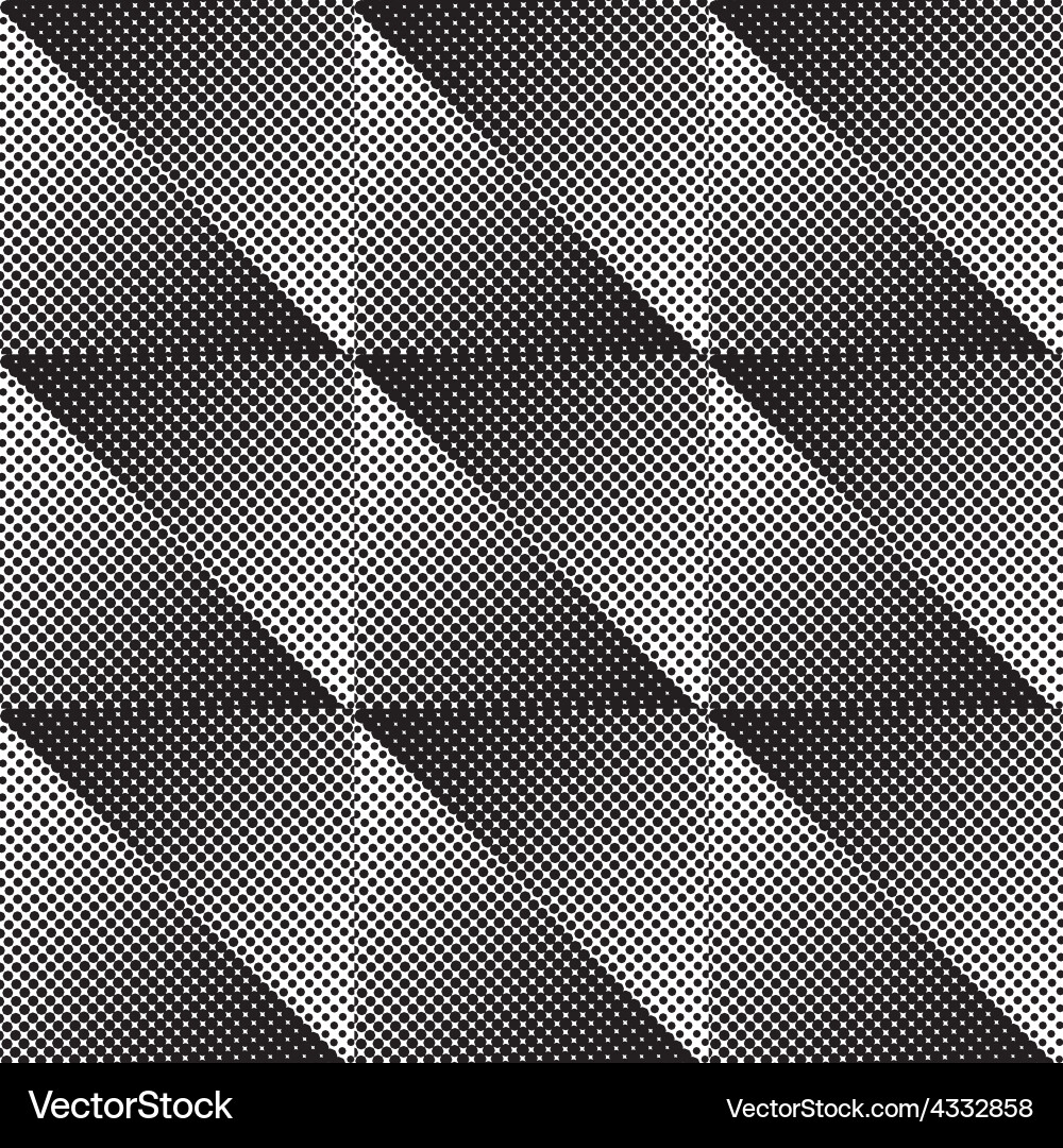 Black and White Halftone Texture vector image
