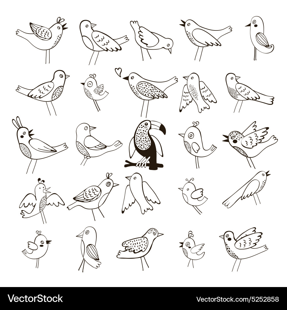 Cute collection of funny birds Vector Image