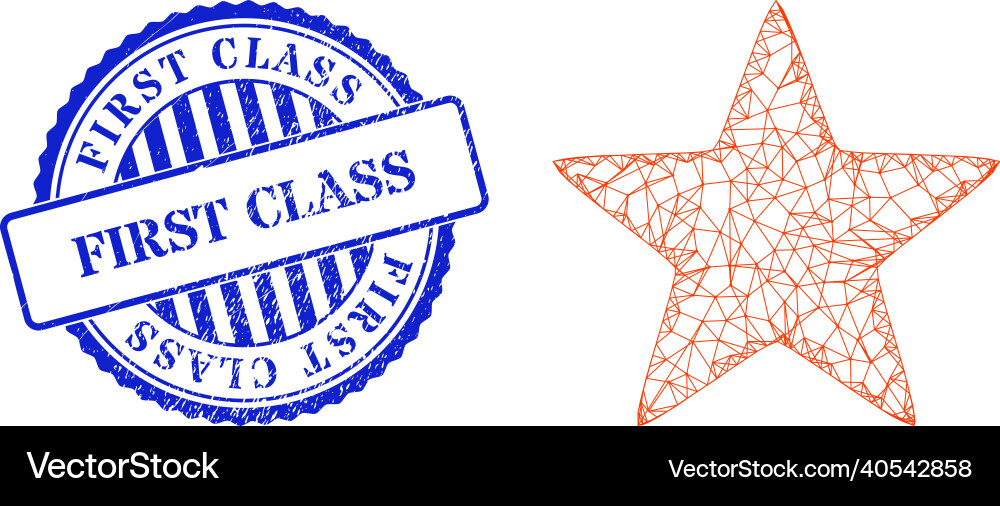 Scratched first class badge and net red star mesh vector image