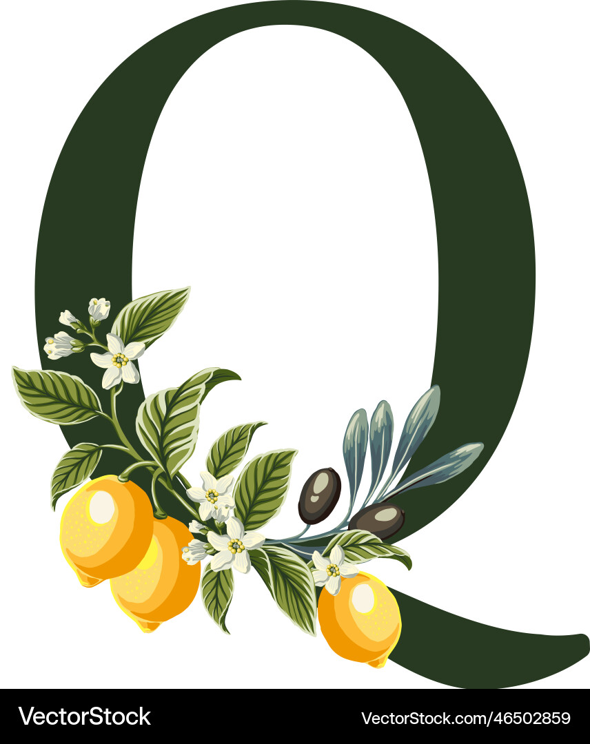 Letter q from alphabet with lemons and olive Letter q from alphabet with lemons and olive vector image