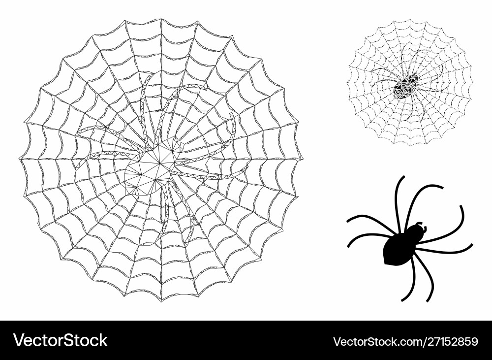 Spider net mesh carcass model and triangle Spider net mesh carcass model and triangle vector image