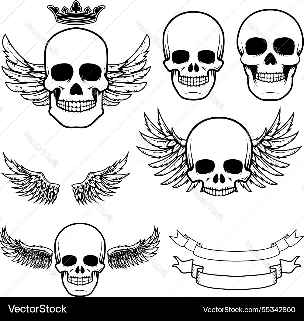 Biker theme labels skulls with wings Vector Image