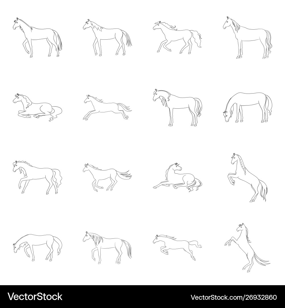 Isolated object stallion and galloping symbol Vector Image
