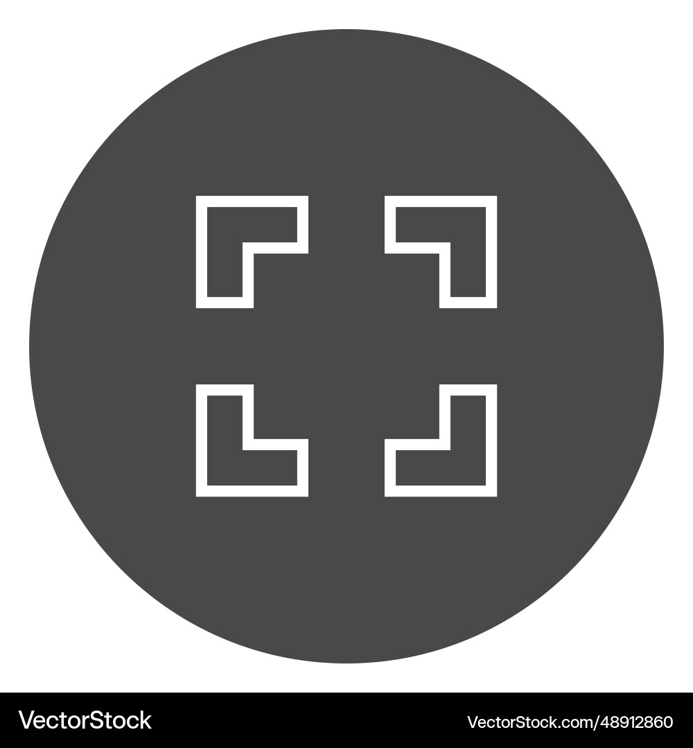 Maximize window button circle icon vector image