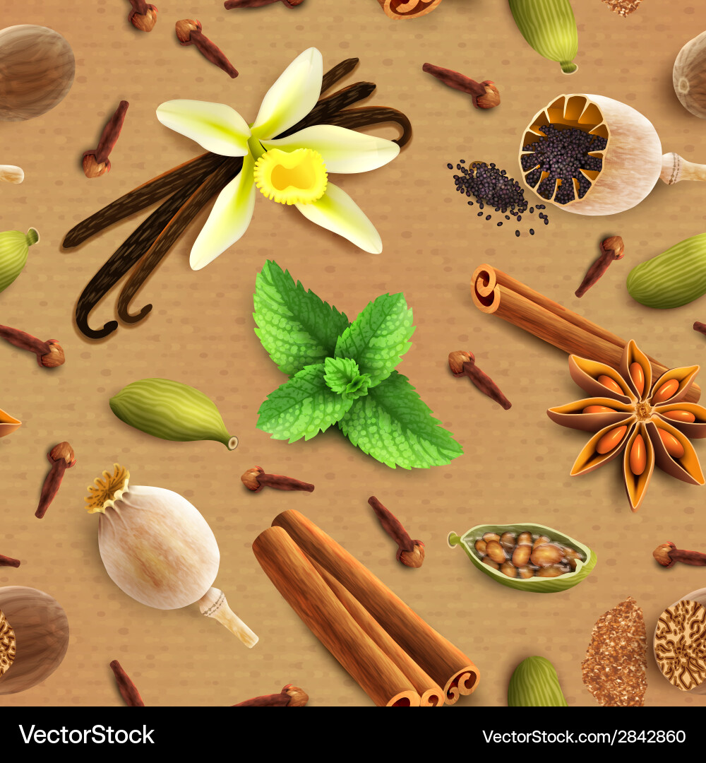 Spices seamless pattern vector image