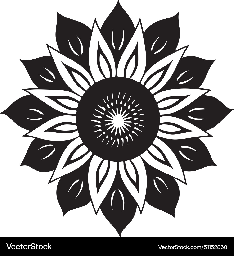 Sunflower - black and white isolated icon Vector Image