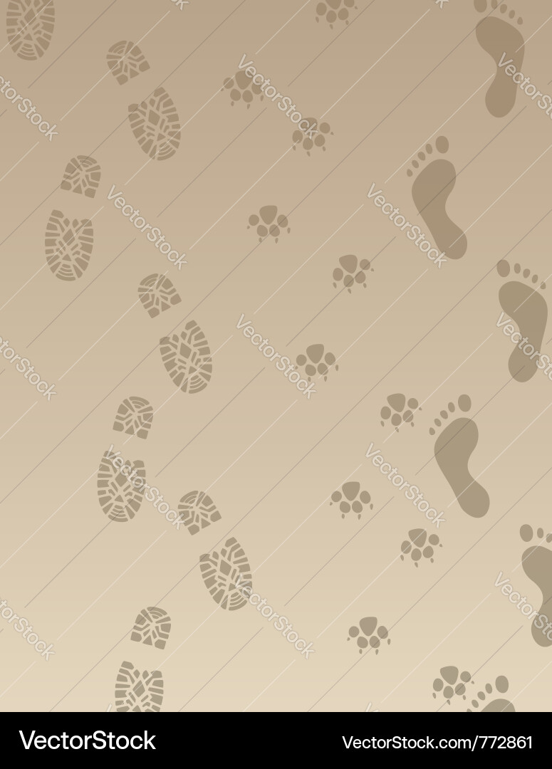 Footprints in Sand Vector Image